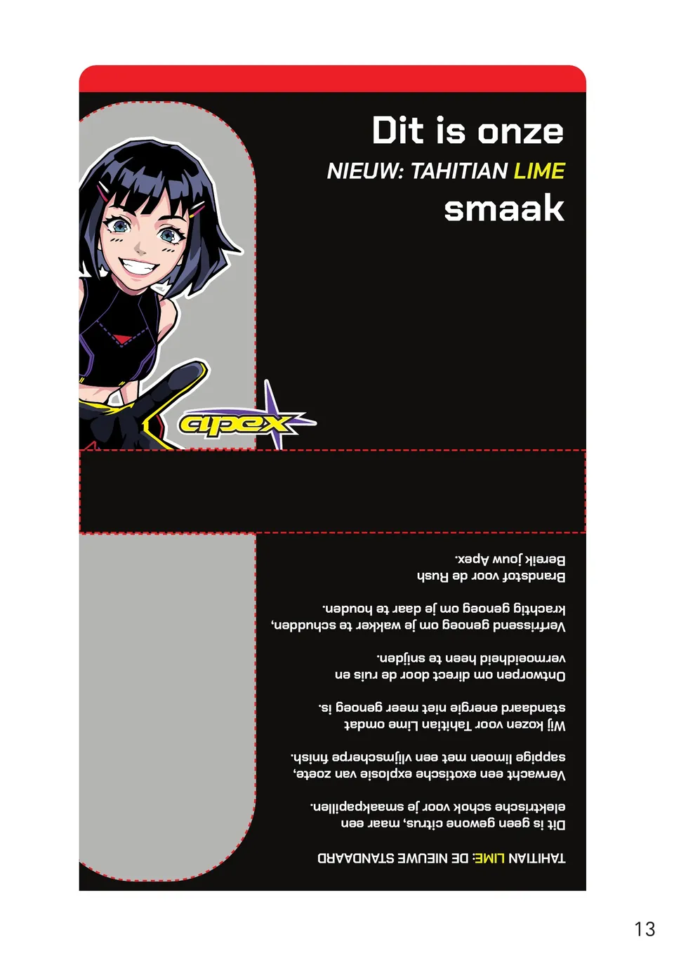 PDF page 13