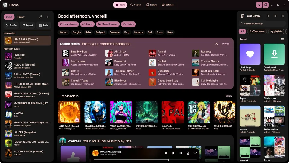 VIsage: Home with the queue and library sidebars open