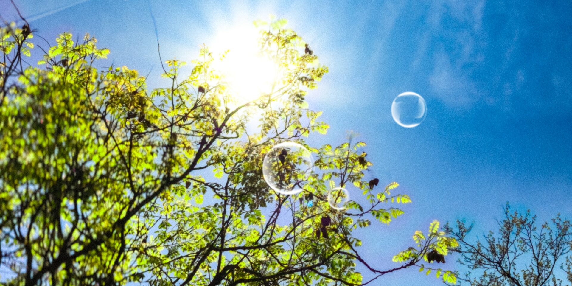 A vertical, low-angle shot of bright green tree canopy against a brilliant blue sky. The sun is directly behind the upper-middle branches, creating a strong lens flare. Several floating soap bubbles are visible in the air, with additional white light streak effects overlaid on the sky. The image has a textured, grainy look.