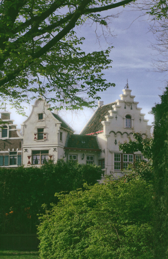 A vertical shot of white, traditional Dutch-style buildings with ornate stepped gables under a soft blue sky. The houses feature dark-framed windows with small red and white shutters and are partially obscured by lush green trees in the foreground. Branches with bright green leaves frame the top left corner of the image, adding a natural border to the architectural scene. The photo has a slightly grainy, film-like texture with soft sunlight hitting the white facades of the buildings.